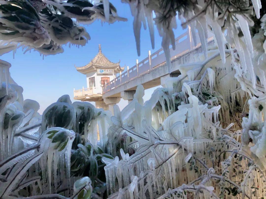 强化运输组织 满足民生所需